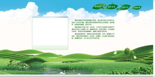 企業(yè)產品網站設計制作 打造高效轉化的數字門面
